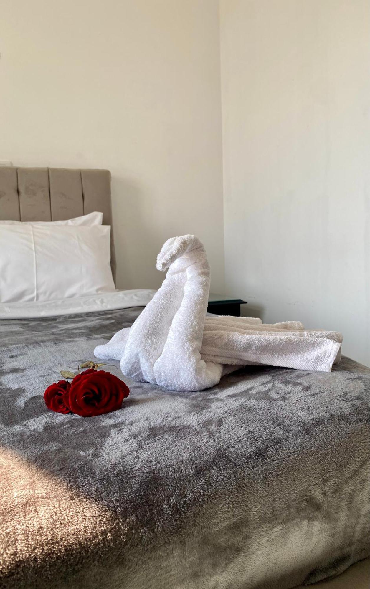K Boutique Hotel Medspa-Pyramids & Grand Egyptian Museum Ghatati エクステリア 写真