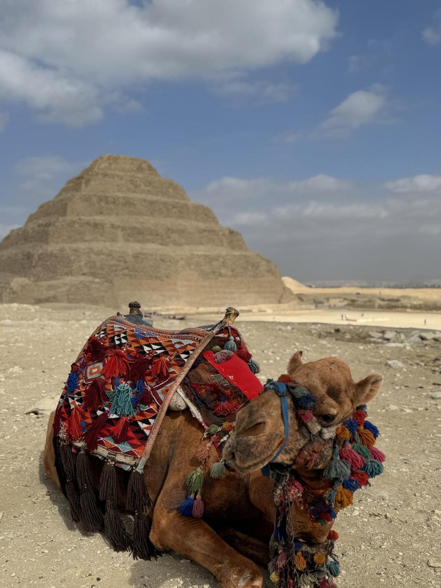 K Boutique Hotel Medspa-Pyramids & Grand Egyptian Museum Ghatati エクステリア 写真